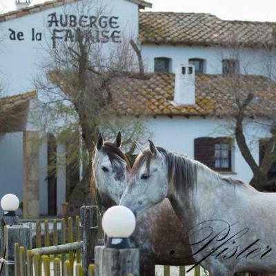 Promenade à cheval