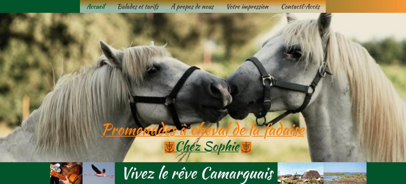 Promenades a cheval de la fadaise